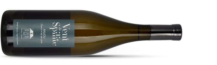 Domaine OGEREAU, Anjou Blanc "VENT DE SPILITE" 2020