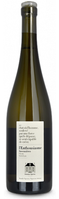Domaine OGEREAU, Anjou Blanc BONNES BLANCHES 2020