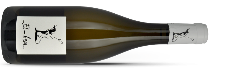 Domaine PARTAGÉ - Gilles BERLIOZ - EL-HEM 2019
