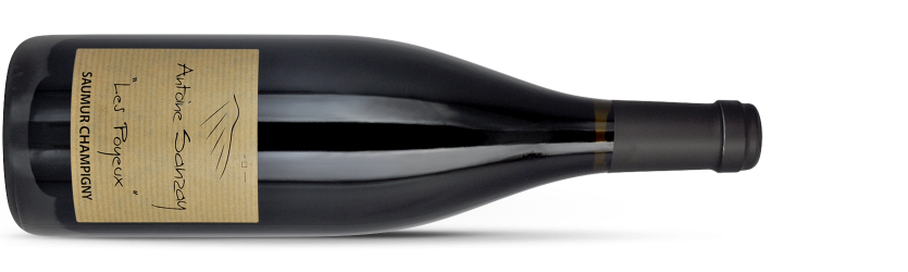 Domaine Antoine SANZAY, Saumur-Champigny LES POYEUX 2020