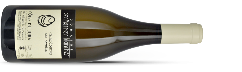 Domaine MARNES BLANCHES, chardonnay LES NORMINS 2021