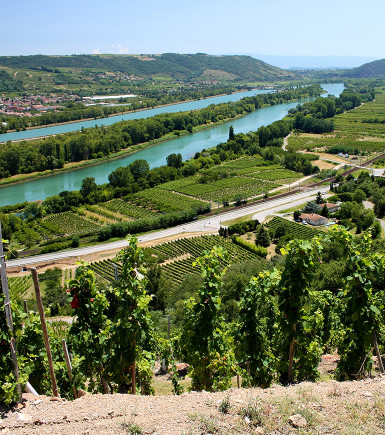 Soirée dégustation grands vins du RHÔNE