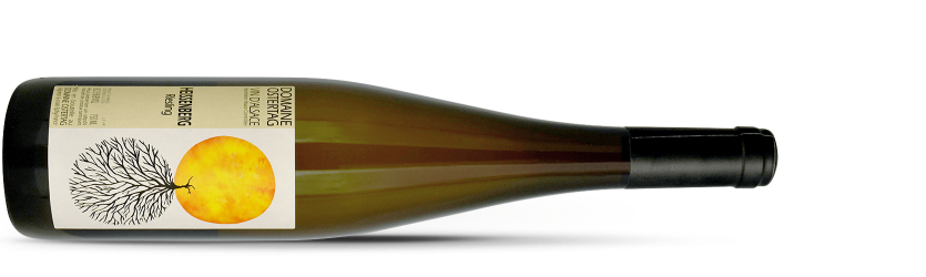 OSTERTAG - HEISSENBERG 2021 - riesling