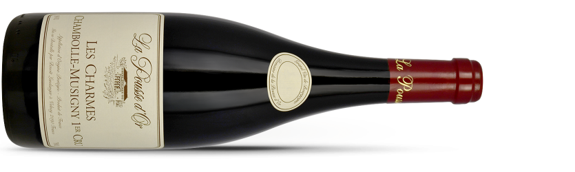 Chambolle-Musigny 2023 - LA POUSSE D'OR
