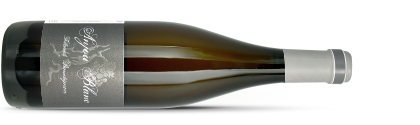 Thibaud BOUDIGNON, Anjou blanc 2021 magnum