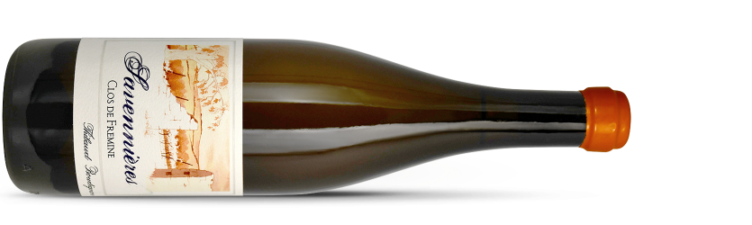 Thibaud BOUDIGNON, Savennières "CLOS DE FREMINE" 2023