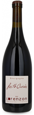 Bruno LORENZON - 16 OUVREES 2023 - Bourgogne