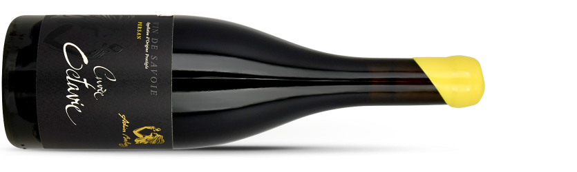 Adrien BERLIOZ, Savoie Persan OCTAVIE 2024