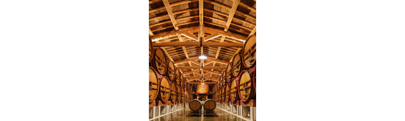 Soirée dégustation Grands Vins CHÂTEAUNEUF-DU-PAPE et Satellites !