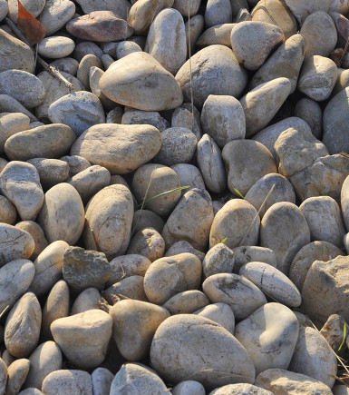 Soirée dégustation grands vins CHÂTEAUNEUF-DU-PAPE