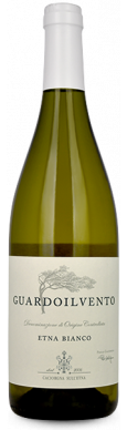 PIETRO CACIORGNA, Italie Etna blanc GUARDOILVENTO BIANCO 2024