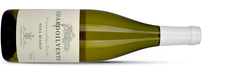 PIETRO CACIORGNA, Italie Etna blanc GUARDOILVENTO BIANCO 2024