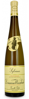 Domaine WEINBACH, sylvaner VV 2023