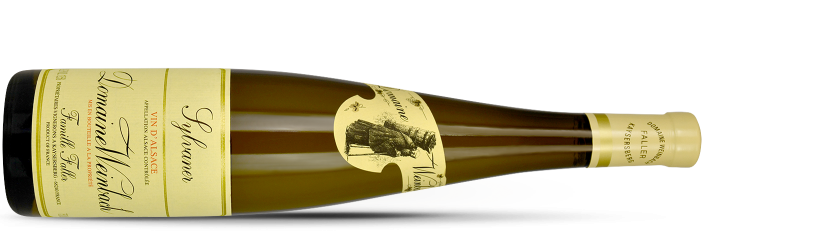 Domaine WEINBACH, sylvaner VV 2023