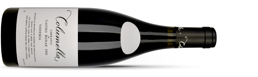 THE SADIE FAMILY, Swartland COLUMELLA 2023