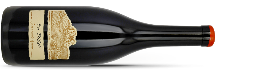 GANEVAT - EN BILLAT 2022 magnum - pinot noir