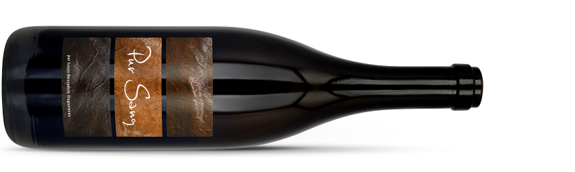 Didier DAGUENEAU, Pouilly-Fumé PUR SANG 2023