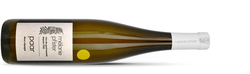 Mélanie PFISTER - PAAR 2024 - pinot blanc