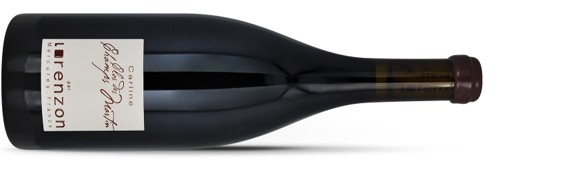 Bruno LORENZON, Mercurey 1er cru CLOS des CHAMPS MARTINS CARLINE 2023