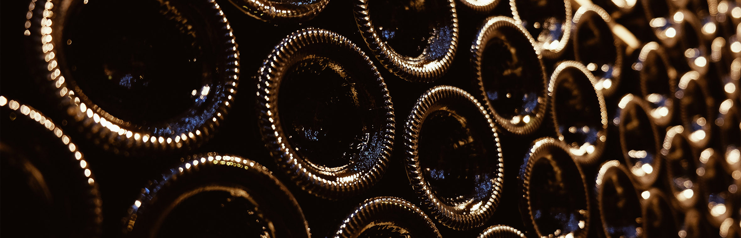   Grands vins 11€ à 25€ :  
  Découvrez les meilleurs vins entre 11€ et 25€ sélectionnés par Walter Wine : rouges élégants, blancs gastronomiques et cuvées de terroir au meilleur rapport qualité-prix.  
 Walter Wine vous propose une sélection exigeante de grands vins entre 11€ et 25€, mettant à l’honneur des cuvées à forte identité de terroir, au véritable potentiel gastronomique et au remarquable rapport qualité-prix. Dans cette gamme accessible, il est aujourd’hui possible de découvrir des vins de grande qualité issus des plus belles régions viticoles françaises et européennes. Alsace, Vallée du Rhône, Languedoc, Loire ou encore certaines appellations bordelaises offrent de magnifiques opportunités pour déguster des vins élégants, équilibrés et expressifs. Entre fraîcheur, complexité aromatique et finesse, chaque bouteille sélectionnée par Walter Wine reflète le savoir-faire de vignerons passionnés et l’authenticité de leur terroir. Notre sélection s’adresse aussi bien aux amateurs qu’aux passionnés recherchant des vins de caractère capables d’accompagner aussi bien des moments de convivialité que des accords gastronomiques raffinés. 