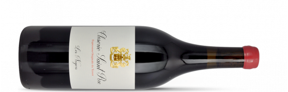  CLOSERIE SAINT ROC, cette propriété confidentielle appartient à la famille Amoreau, propriétaire du réputé Château Le Puy. Une seule ambition, celle de produire des vins d’exception, grâce à une culture biodynamique et des vinifications naturelles… 