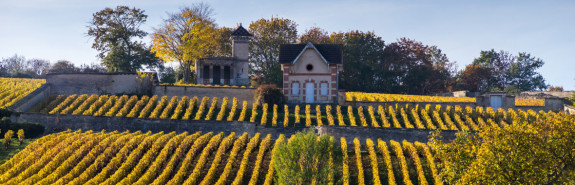 <p>Domaine Albert GRIVAULT, un vignoble prestigieux - le Clos des Perrières meilleur Premier Cru de Meursault !</p>