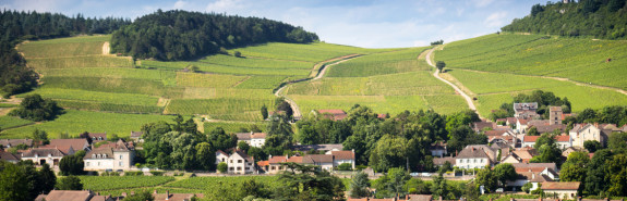 <p>Bruno LORENZON, l'élite de Mercurey, parmi les plus grands vins de la Bourgogne. </p>