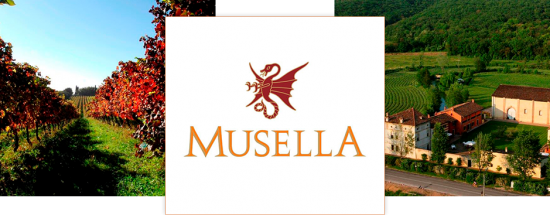 <p>MUSELLA, la biodynamie support des grands Amarone …</p>
