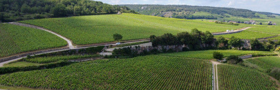 <p>Domaine Robert GROFFIER, fleuron de la Bourgogne, des Amoureuses au Clos de Bèze, 2018 millésime exceptionnel !</p>