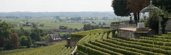 <p>TERTRE ROTEBOEUF &amp; ROC DE CAMBES (François Mitjavile), exploités et vinifiés par un des plus grands vinificateur du Bordelais ! </p>