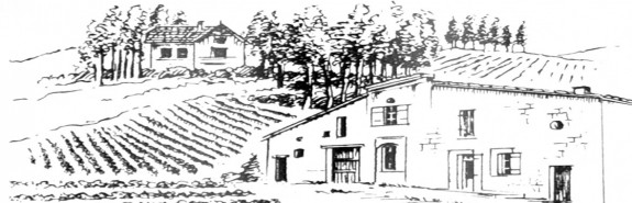 <p>L'AURAGE, vinifié par Louis Mitjavile, un Côtes de Castillon dans le prolongement des côteaux de Saint Emilion, coup de cœur pour le Versant 93-94/100 ! </p>