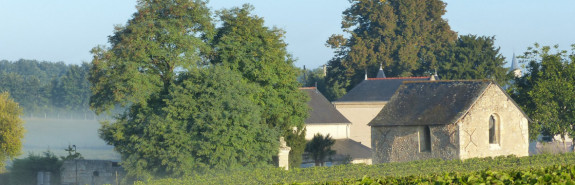 <p>Château FOSSE-SÈCHE l'autre grand du Saumurois, exceptionnel !</p>
