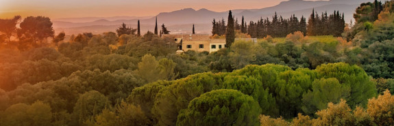  DAUMAS GASSAC, pionner de l'excellence, le plus bordelais des Languedoc, parmi les tous meilleurs du Languedoc ! 