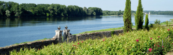  Thibaud Boudignon, nouvelle collection 2022 et 2023, l'un des plus grands vignerons et vinificateurs français d'aujourd'hui, de 93 à 97/100 !  