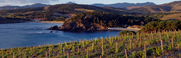  MAS KAROLINA, cinquième coup de cœur ❤️ consécutif pour les vins du domaine au Guide Hachette, l'Enverre 94-95/100 !  