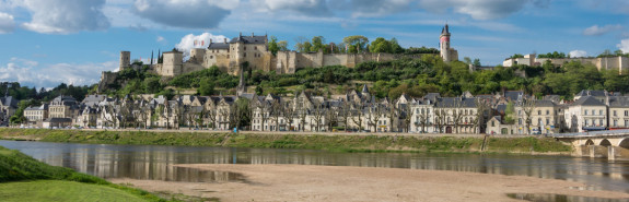  Philippe ALLIET, la maitrise parfaite du cabernet franc et de ses terroirs, la référence à Chinon, 2*/3 à la RVF ! 