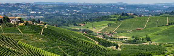  IL POGGIONE, le Brunello di Montalcino noté 95/100 en 2016 et 97/100 pour les brillants Brunello di Montalcino Riserva Vigna Paganelli 2012 &amp; 2015 ! 