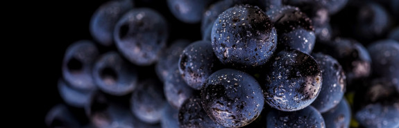  Juliette JOBLOT, les meilleurs premiers crus de Givry reposent sur l'élégance, le fruité, et le charnu de la texture. 