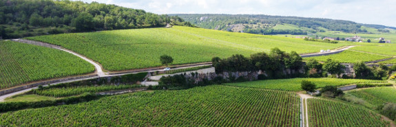  Domaine REBOURSEAU, dans la spirale des très convoités domaines de la Côte-de-Nuits, dans le sillage des plus grands ! 