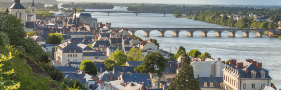  COULÉE DE SERRANT, Nicolas Joly fondamentaliste de la culture biodynamique, des vins sculptés par une impressionnante concentration en extraits secs, et riche de saveurs ! 