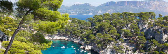  Domaine de TERREBRUNE, avec Tempier et Pibarnon dans le trio de tête des grands Bandol, 3*/3 à la RVF ! 