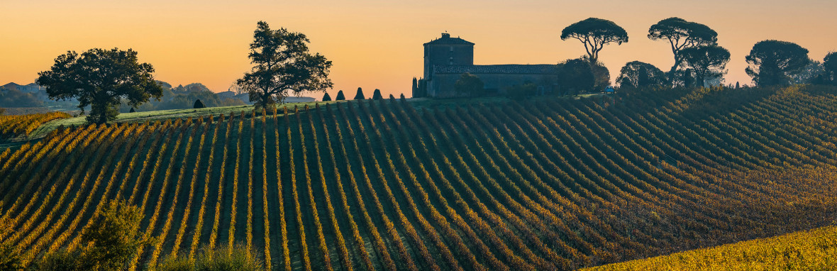 La Lagune (Haut-Médoc)