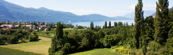  ADRIEN BERLIOZ, rejoint aujourd'hui le sommet régional, viticulture en biodynamie certifié Demeter, 3* à la RVF !  