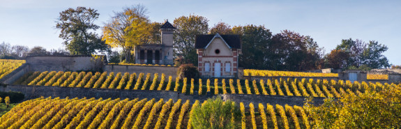  Le domaine MATROT, réputé pour ses magnifiques meursaults, produit des vins de très longue garde, 97/100 pour tous les premiers crus ! 