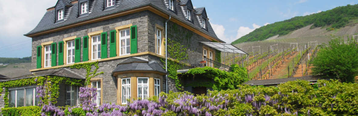 Dr Loosen (Mosel, Allemagne)