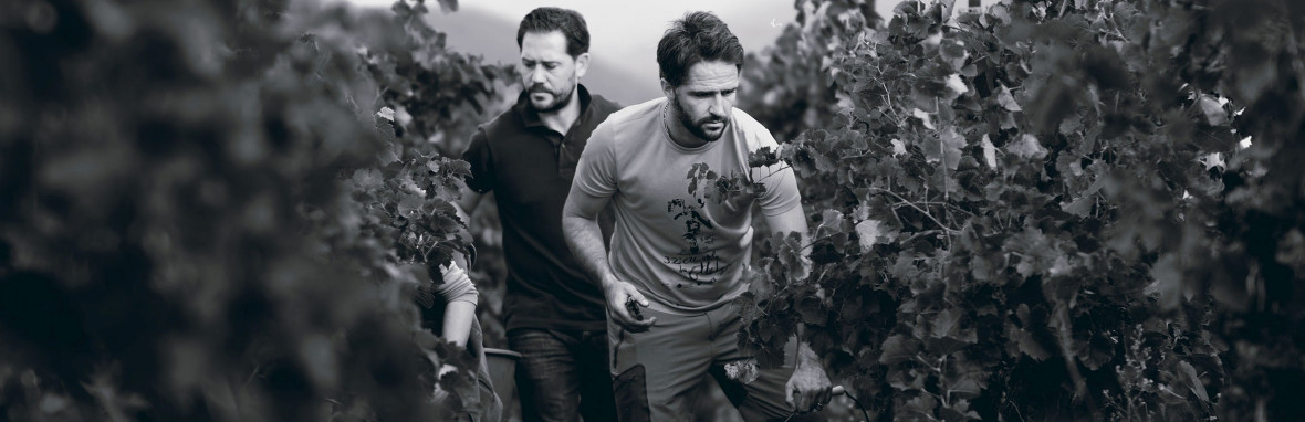 Cassagne & Vitailles (Languedoc)