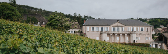  Domaine LA POUSSE D'OR, un domaine principalement constitué de premiers et grands crus, de Volnay à Chambolle-Musigny, un patrimoine exceptionnel !  