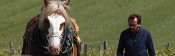  Les ROCHES NEUVES (Thierry GERMAIN), au firmament de l'appellation Saumur Champigny, 3* à la RVF, Les Mémoires 2022 noté 97/100 ! 