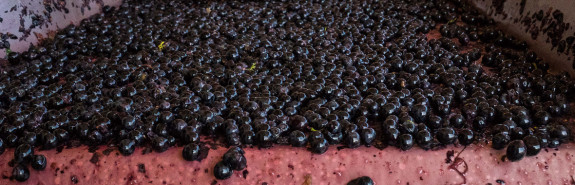  Laurent COMBIER, la référence du Crozes Hermitage, parmi les plus séduisantes et profondes syrahs du Rhône ! 